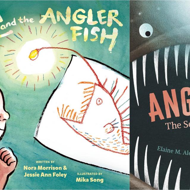 Perfect Anglerfish Pair of Picture Books