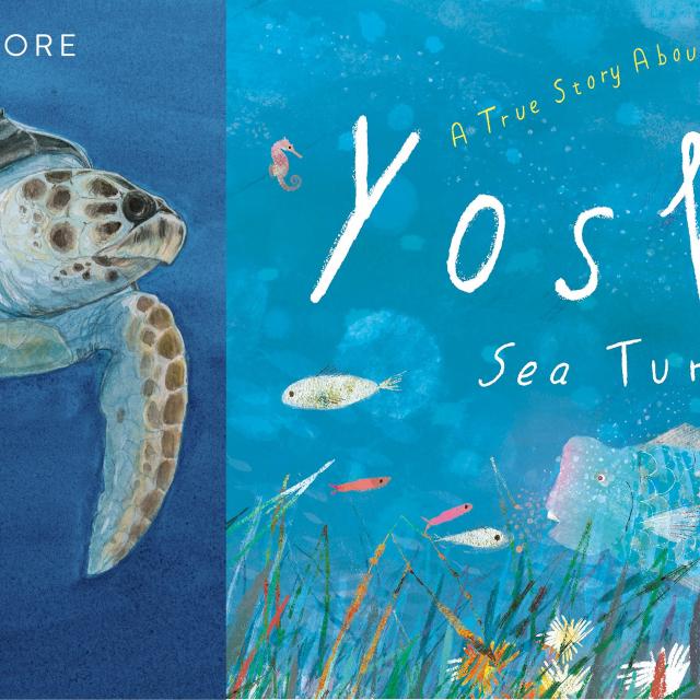 Perfect Pair of books for World Turtle Day